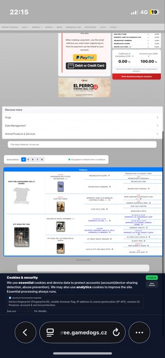 Продаеться рр пит сука 1.2 мес