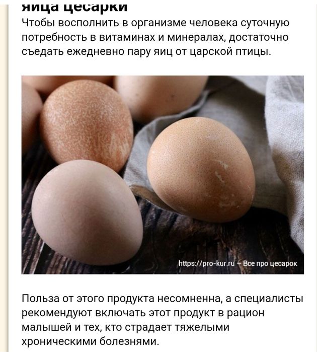 Яйца  цесарки  на заказ