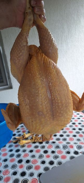 Pui de carne 30lei/kg