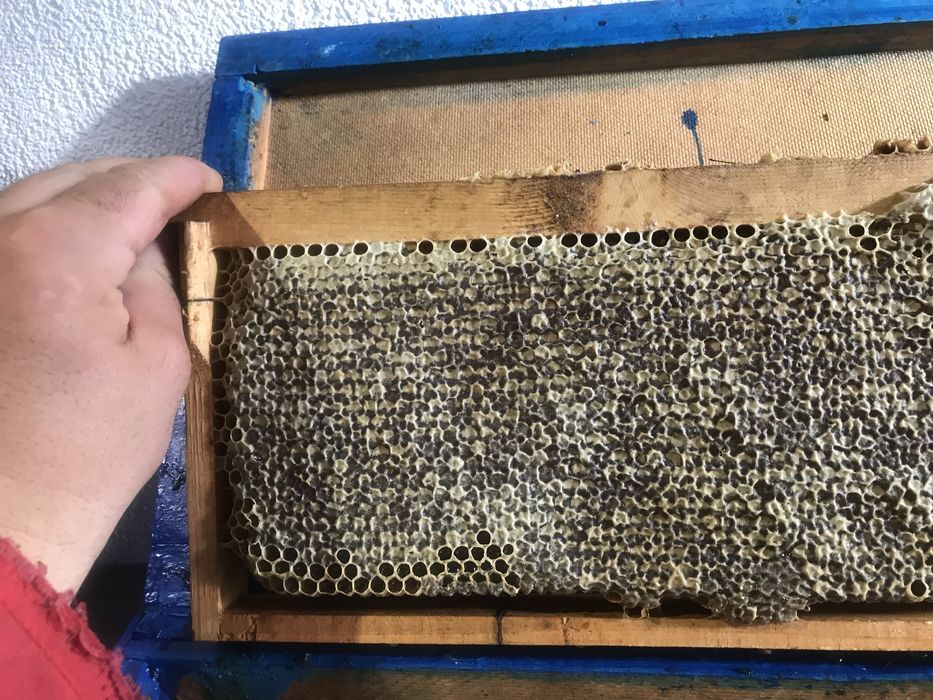 Сертифициран био манов мед