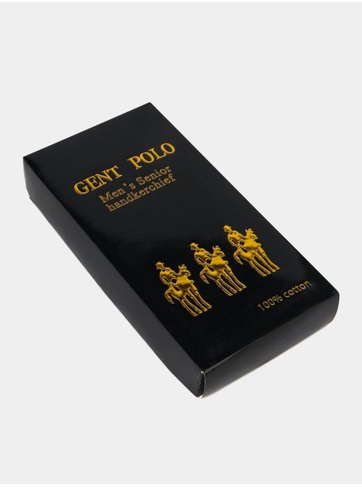 Polo мужской платок