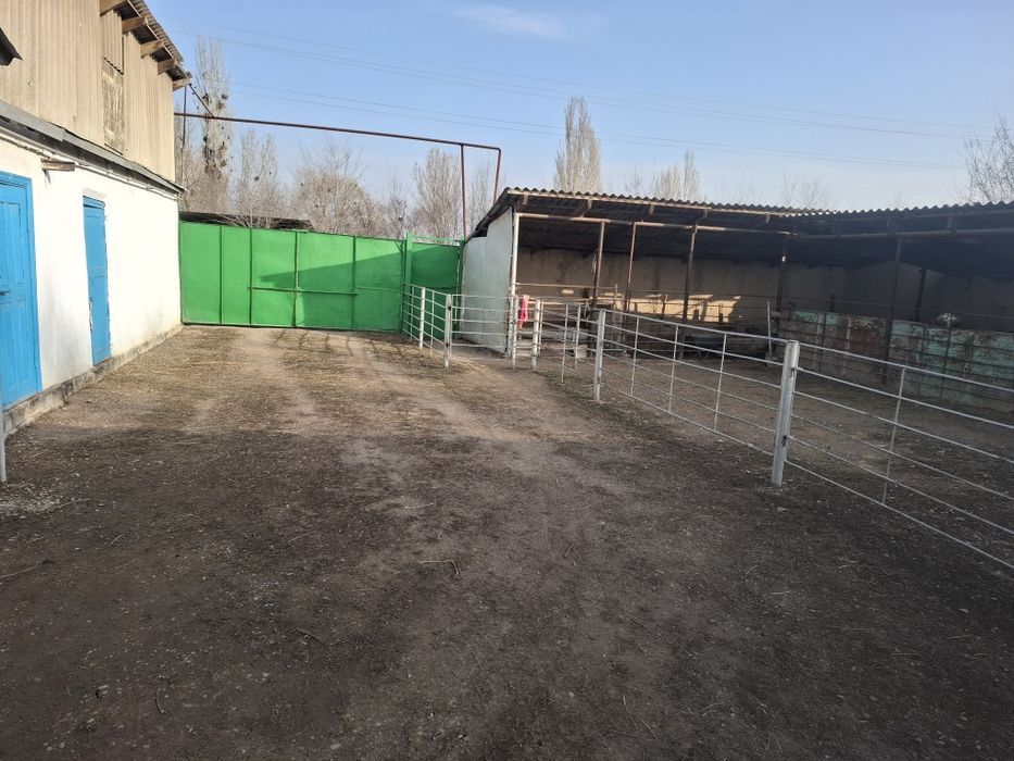 Продам дом . Үй сатылады.