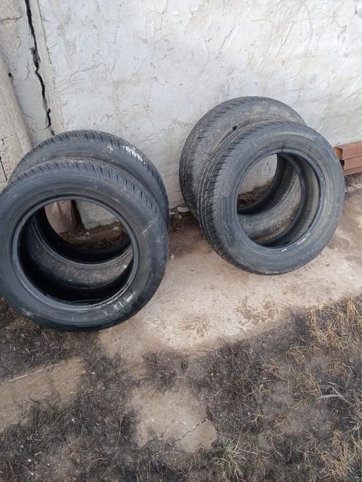 Донгелек сатылады