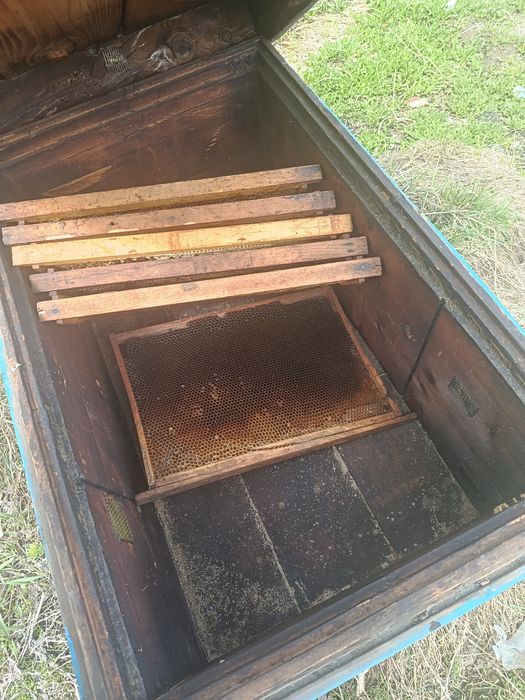 Продам улей для пчел.