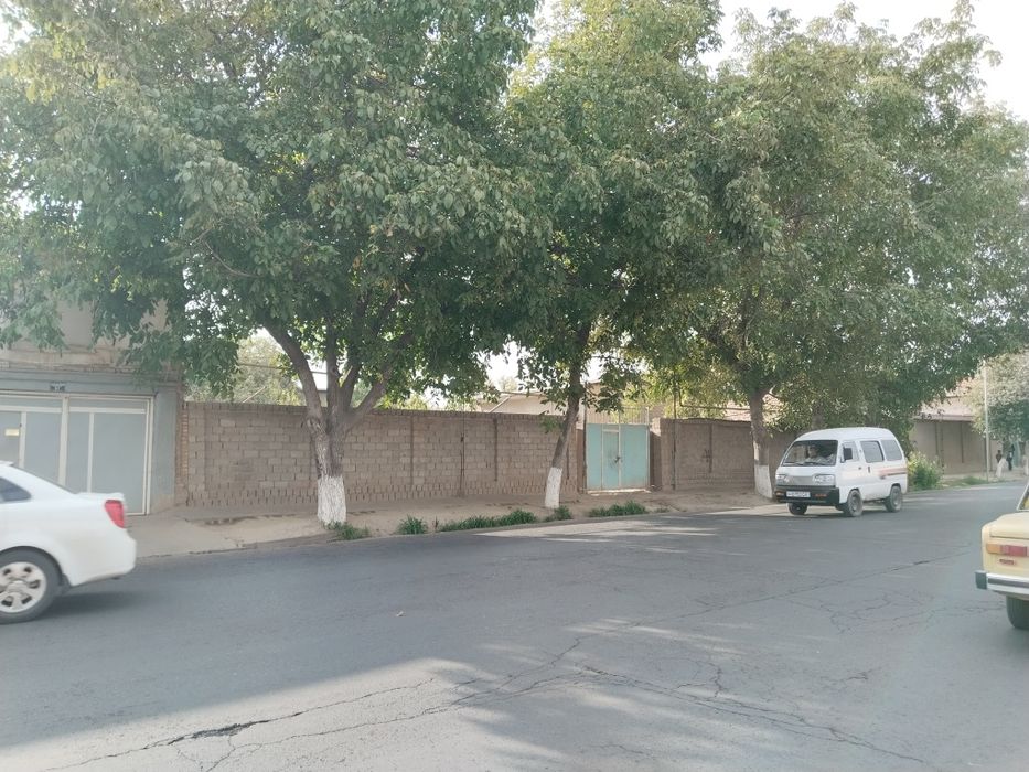 Уй сотилади, Зангиота тумани маркази