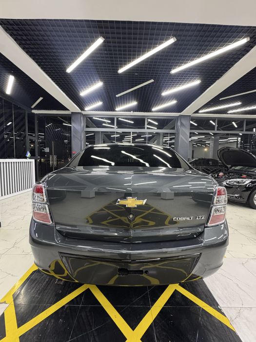 Cobalt MCM midnight 2026