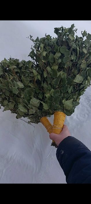 Берёзовые веники