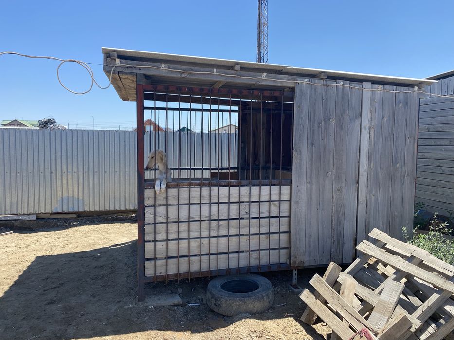 Вольер для собаки
