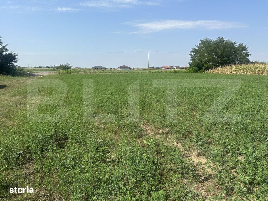 Teren extravilan, 600 mp, zona Alecu Russo