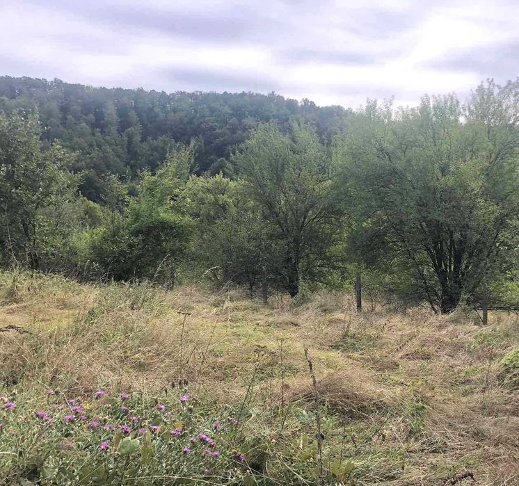 Парцел в регулация в с. Жълтеш, общ. Габрово