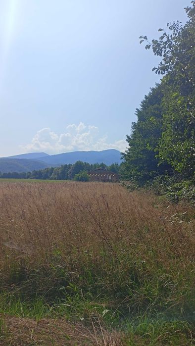 Teren Valea Sebeșului ,Hărseni ,Făgăraș .