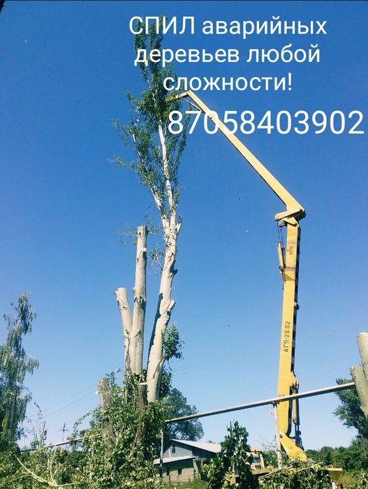 СПИЛ деревьев любой сложности!