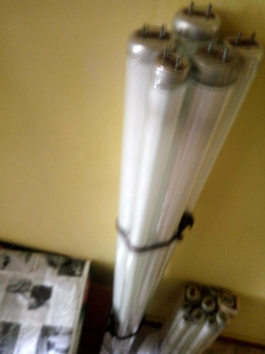 Лампа люминесцентная