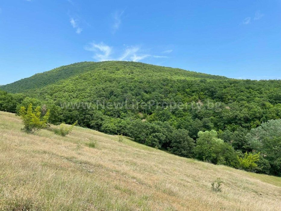 Продава се Парцел в к.к. Слънчев бряг - 1303 кв.м за 45 €/кв.м - Снимка #6