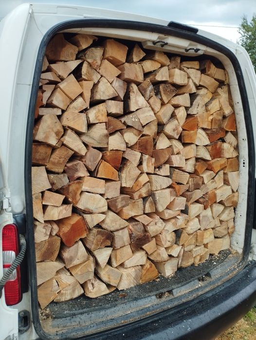 Lemne de foc fag capete uscate sau verzi 600.lei tona