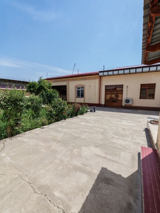 6 so'tig'lik kotej sotiladi