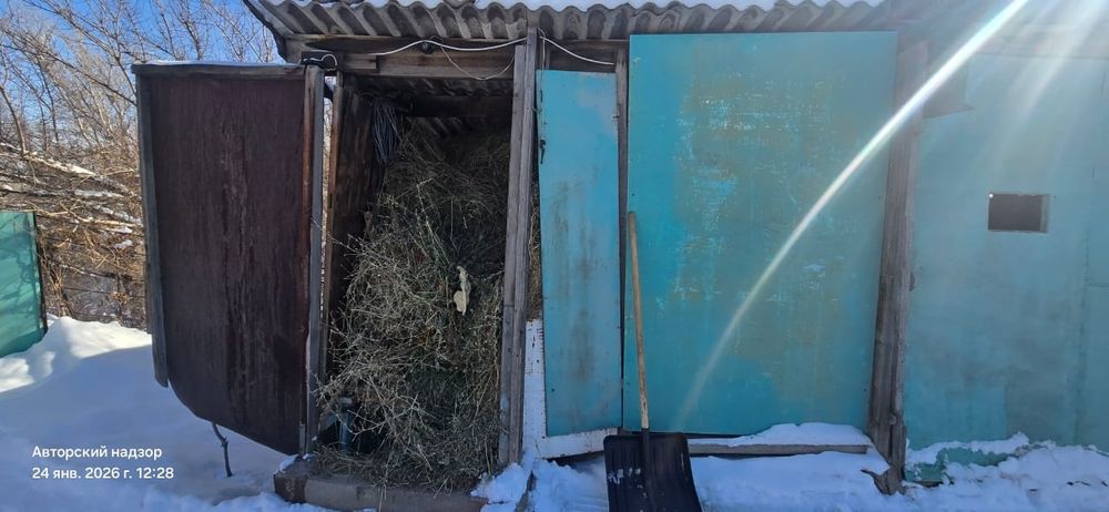Продам домашнее сено