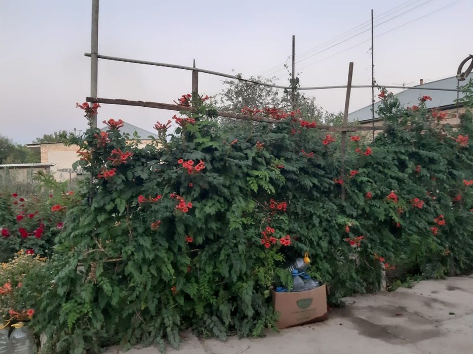 Продам дачу, участок 9 соток