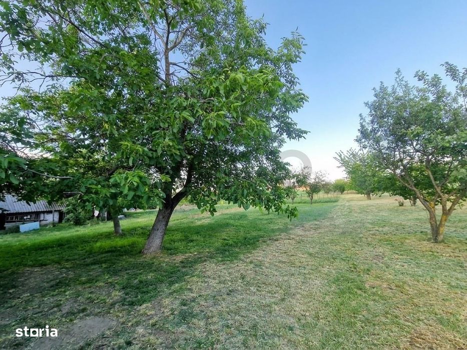 RECO Proprietate cu 2 case si teren mare in Girisu de Cris