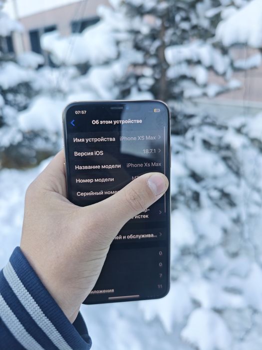 iPhone XS max/256 gb