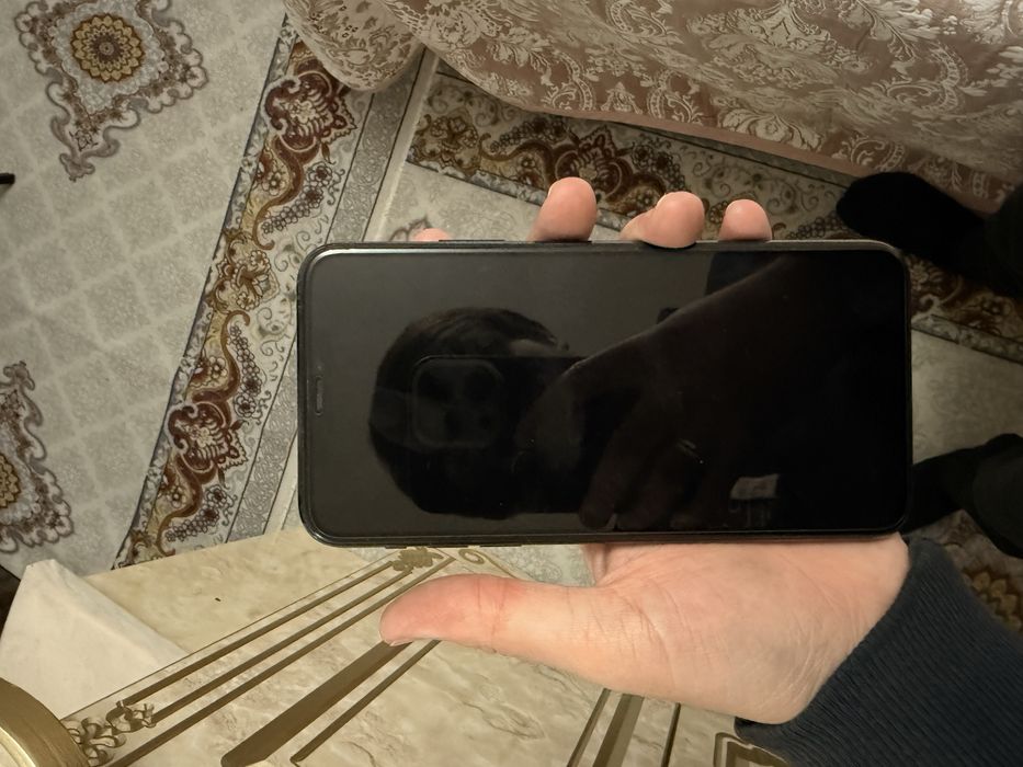 Iphone 11 pro max 256 tali