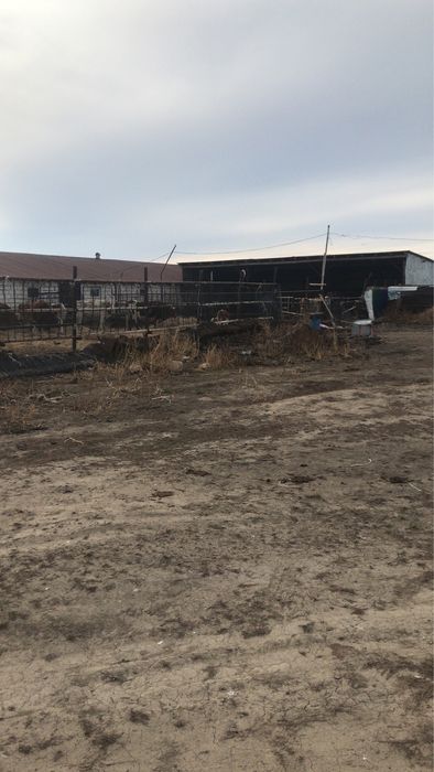 Продается животноводческая база