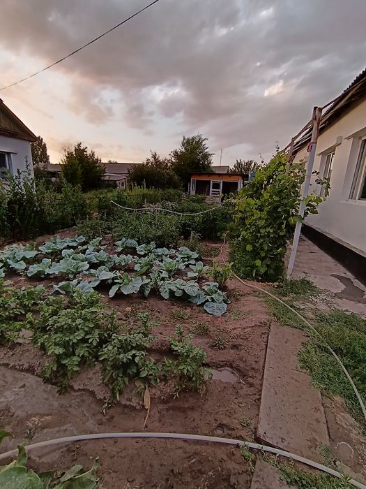 Үй сатылады. Келіп көріңіздер.