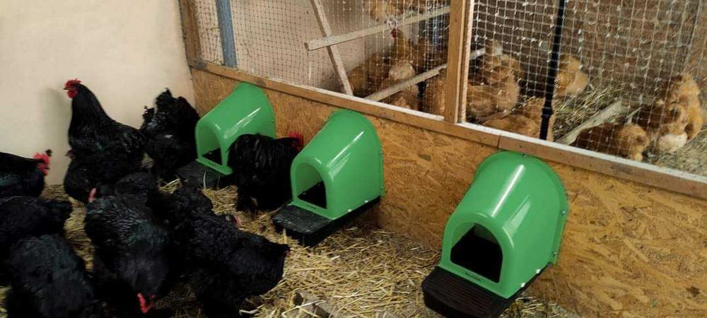 Гнезда за кокошки, Полог за снасяне V2 ЖЪЛТ/ЗЕЛЕН (К-кт 5 броя )