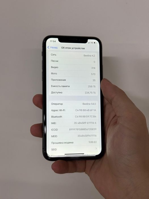 iPhone X 256GB