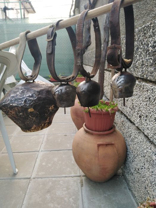 Красиви големи стари хлопки