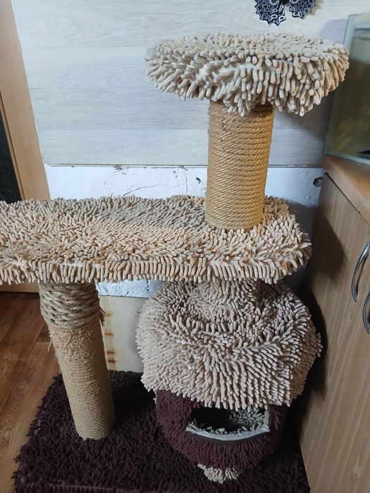 Продам домик для котят