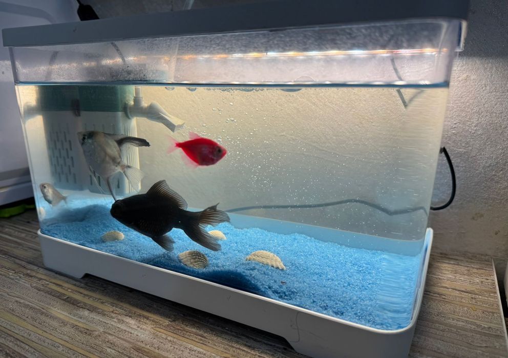 Продам аквариум в городе кандыагаш