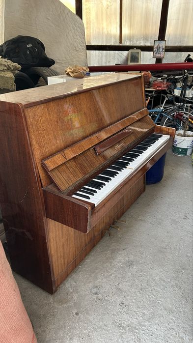 pian, pianina nocturno