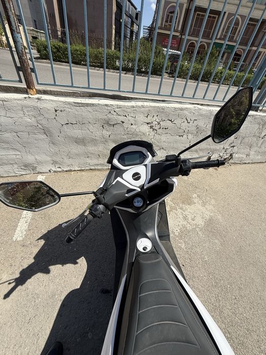 Продается мопец Алмотор