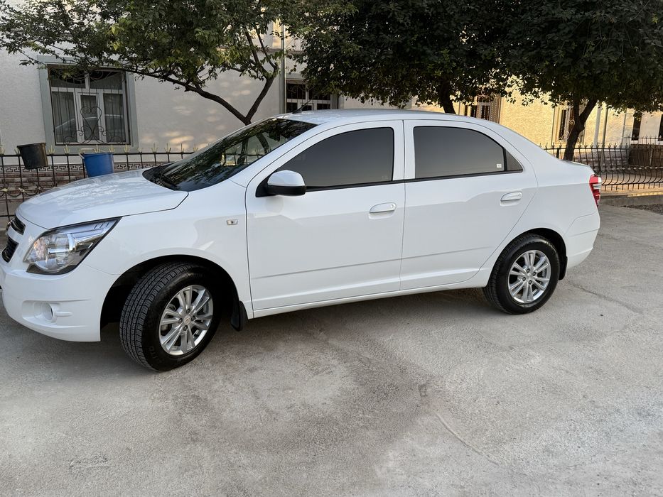 Cobolt 2024 toza