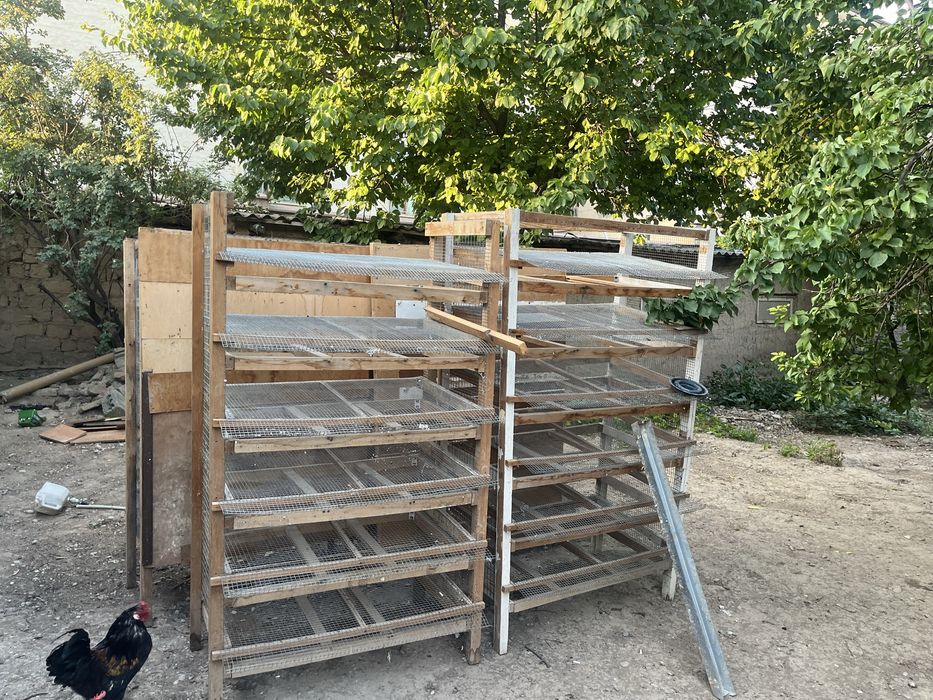 Сетки для перепелов