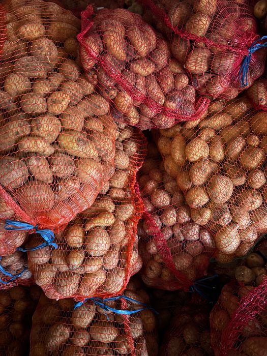 Cartofi de sămânță Edison – clasa B