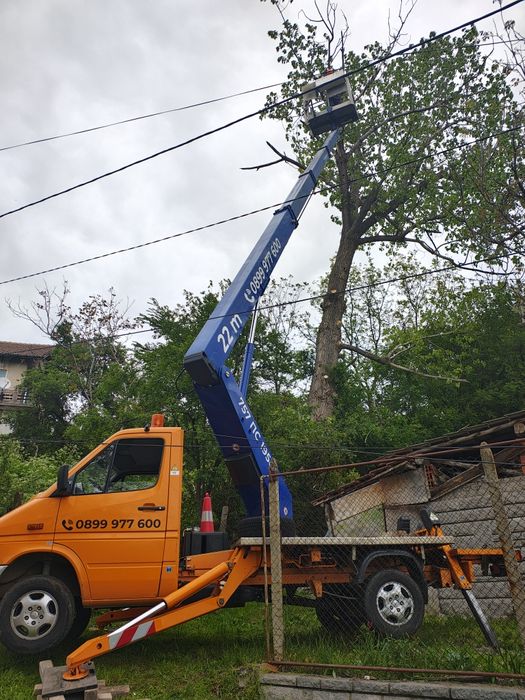 Рязане и кастрене на дървета с автовишка