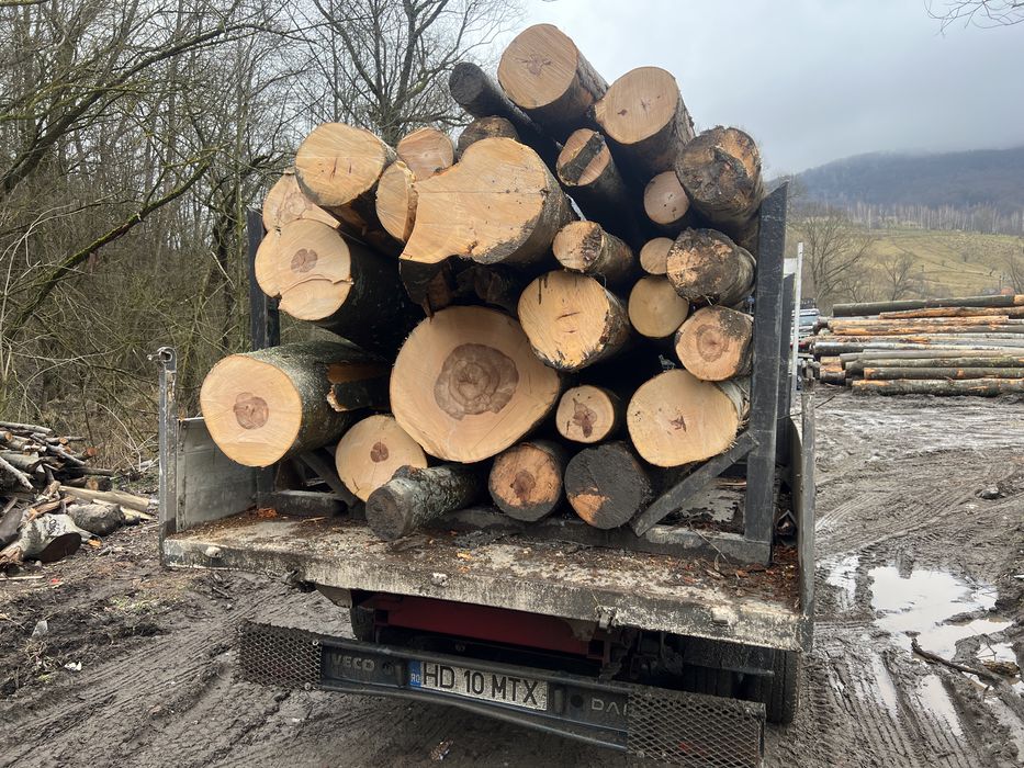 Lemn de foc  DOAR FAG 3,6 cub