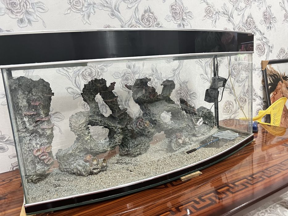 Аквариум большой