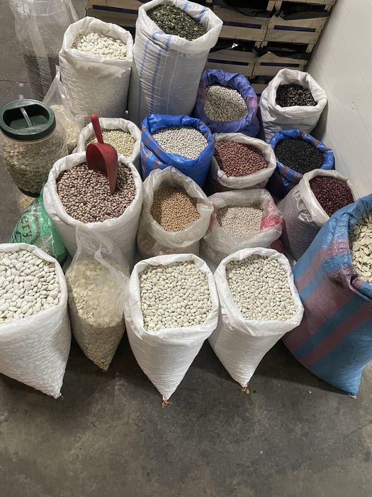 Fasole samburi de dovleac fistic