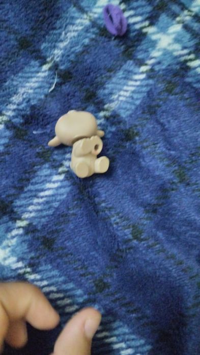 Lps mouse #1889.