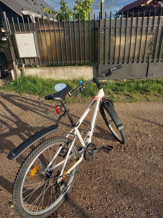 Bicicleta pentru copii