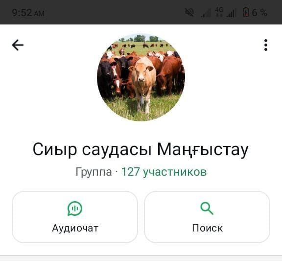Сиыр,баспақ,бұқа, бұзау(группа)
