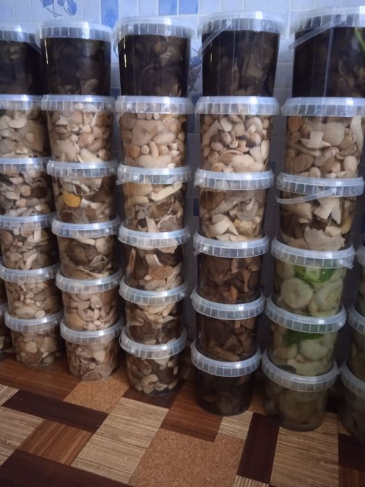 Продам грибы к-т Боровое