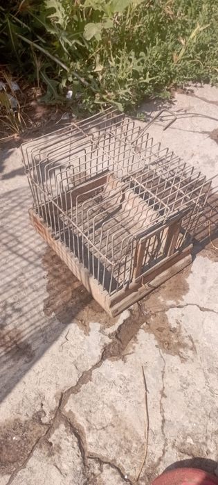 Клетки для содержание и ловли диких певчих птиц