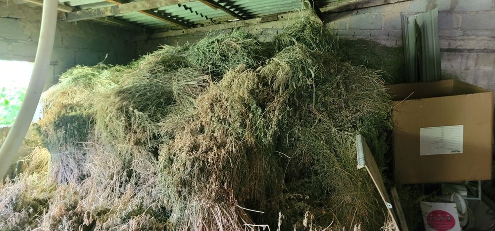 Беда сотилади карта карта бойланган