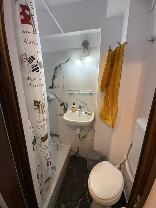 Apartament cu o cameră de închiriat, zona Centru