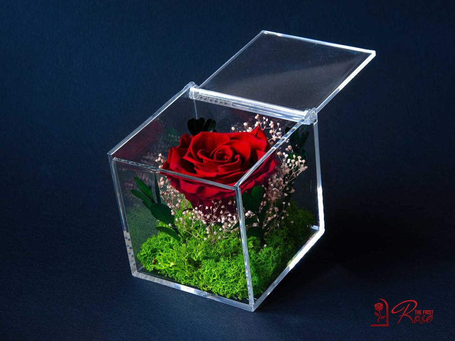 Истинска Вечна Роза в Кутия / Оригинален и Стилен Подарък за Жена
