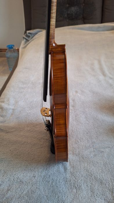 Vioara 4/4, Gliga Vasile - Model Profesional I (an 2000)